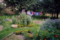 Michèle Roberts garden